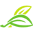 Beazer Homes USA, Inc. logo