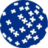 First Advantage Corporation logo